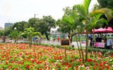 Phố đi bộ Trịnh Công Sơn: Không gian văn hóa thu hút khách du lịch ở Hà Nội